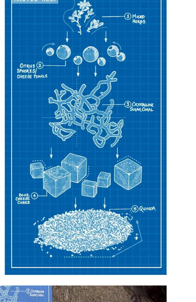 Blueprint diagram of the digital ecology and spatial interface system